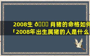 2008生 🐘 肖猪的命格如何「2008年出生属猪的人是什么命」